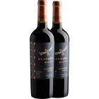 Kit Duo Mancura Guardian Reserva Carmenere 2022