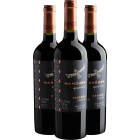 Kit Trio Mancura Guardian Reserva Carmenere 2022